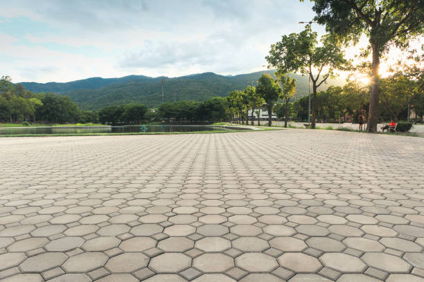 Best Residential Paver Driveway  in Apollo, PA